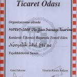 Istanbulticaret2