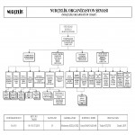 organizasyonsema